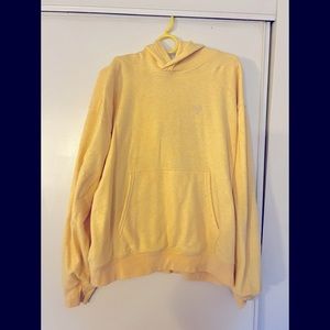 Aritzia light hoodie.  Baby yellow color.